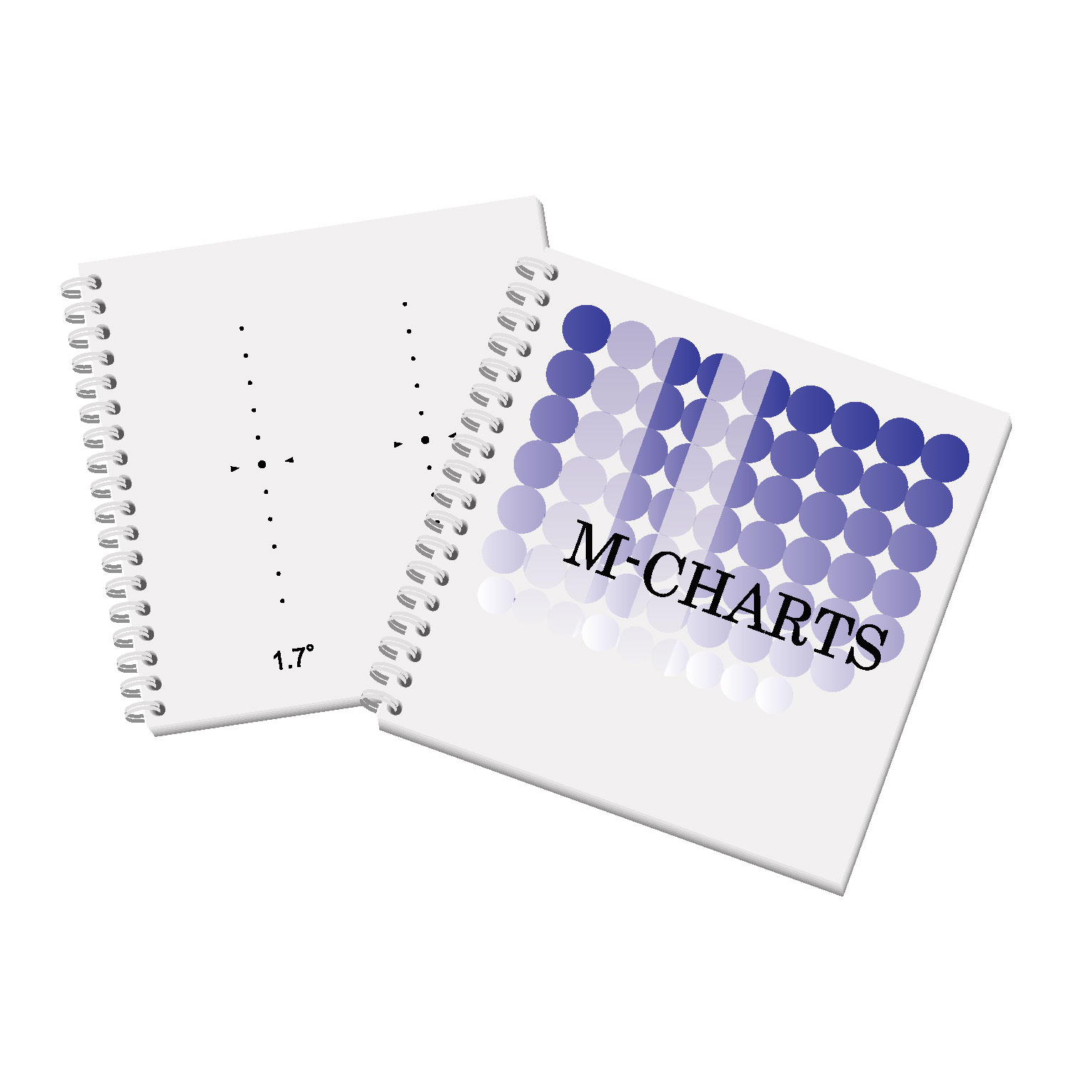 変視症定量評価チャート M-CHARTS Ver.3.0 